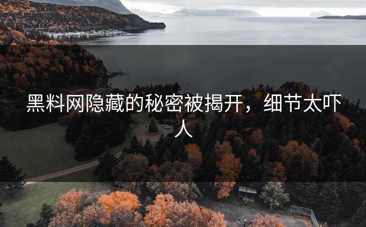 黑料网隐藏的秘密被揭开,细节太吓人