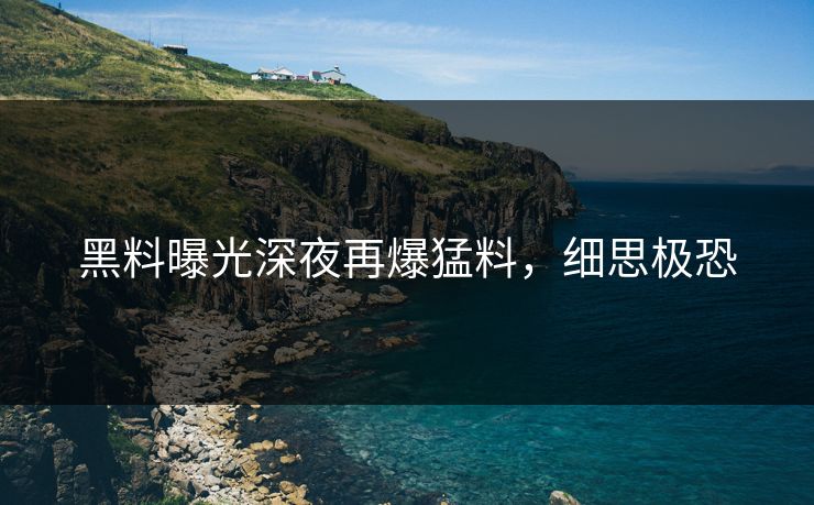 黑料曝光深夜再爆猛料，细思极恐