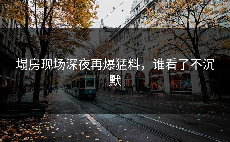 塌房现场深夜再爆猛料，谁看了不沉默