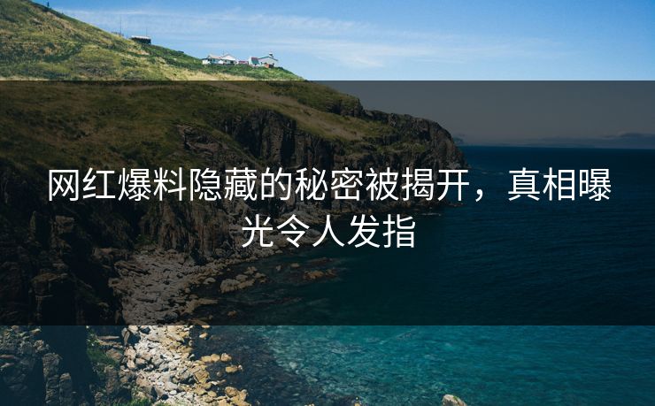 网红爆料隐藏的秘密被揭开，真相曝光令人发指