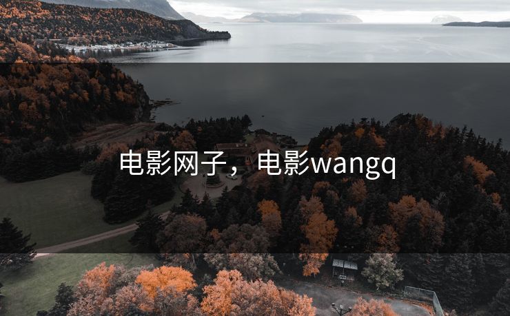电影网子，电影wangq