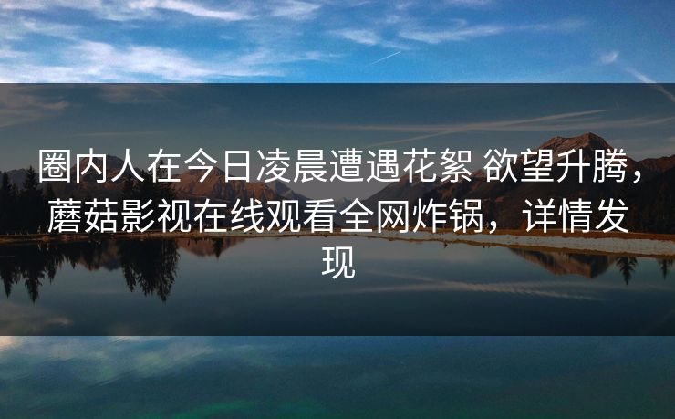 圈内人在今日凌晨遭遇花絮 欲望升腾，蘑菇影视在线观看全网炸锅，详情发现